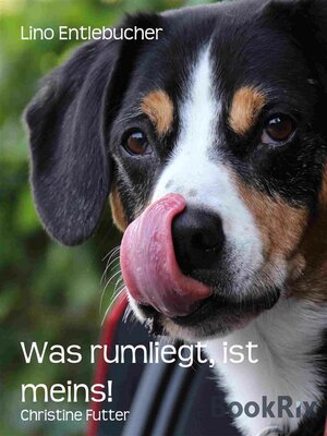 cover image of Was rumliegt, ist meins!